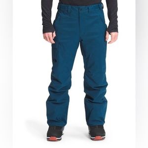 The north face freedom insulated snow pants